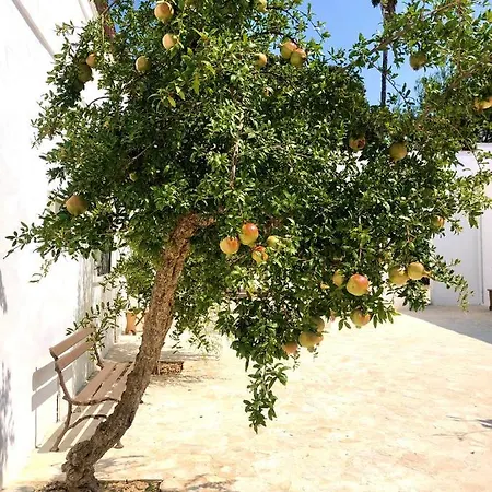 Masseria Gioia ヴィラ *